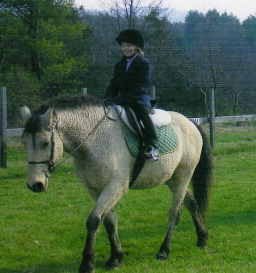 American Bashkir Curly Horse